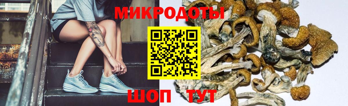 Псилоцибиновые грибы мицелий Печора