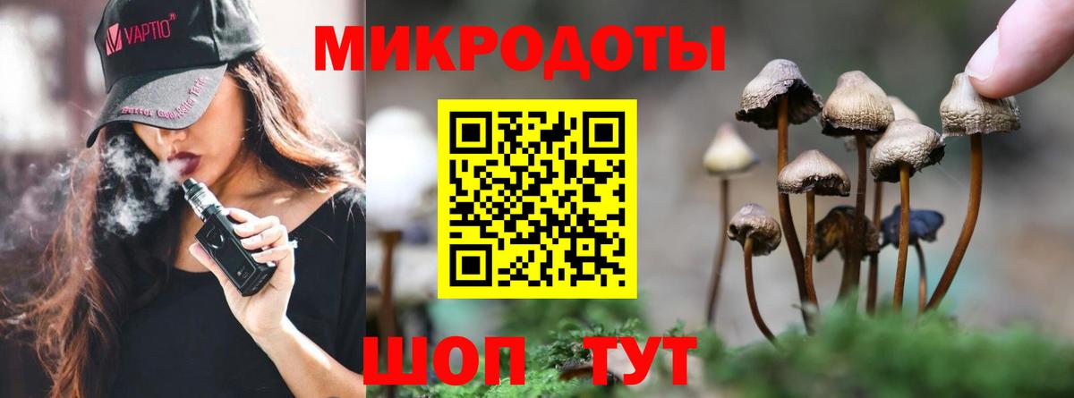 Галлюциногенные грибы прущие грибы  Вход с VPN  Печора 